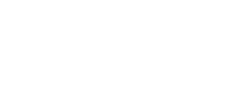 Punt Casino Logo